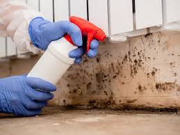 Forensic Mold Investigation in Paradise, CA